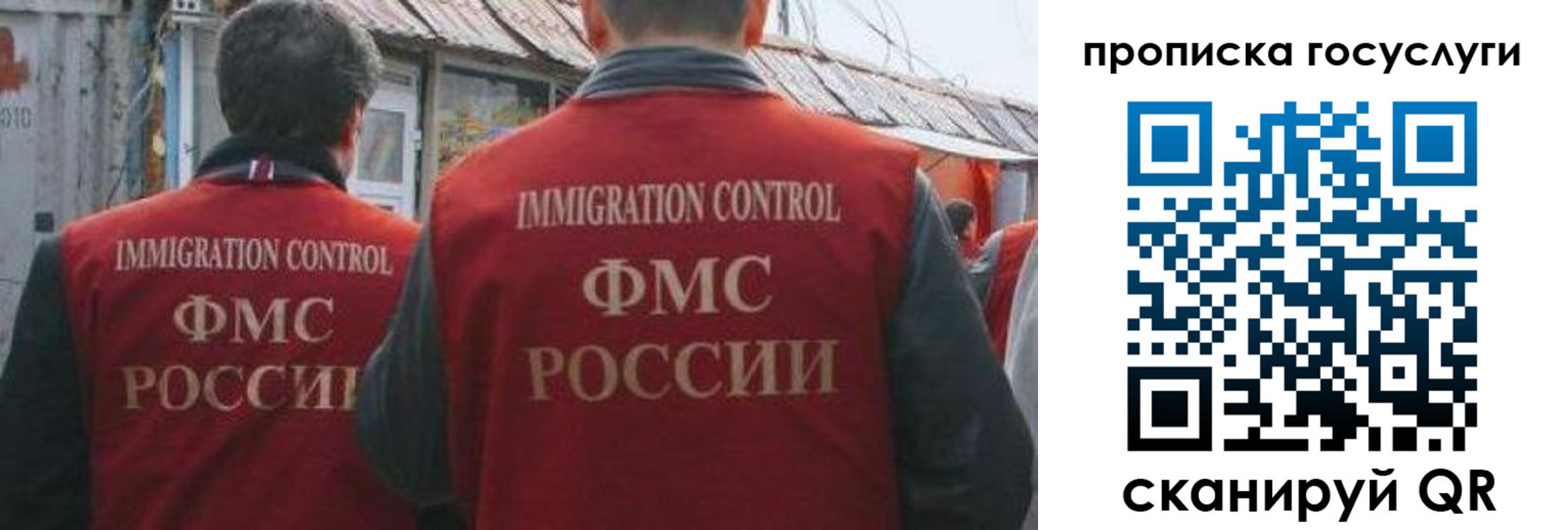 прописка для школы в Тосно